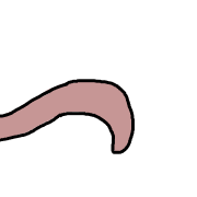 019