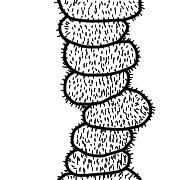 030