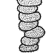 035