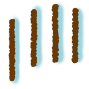 031