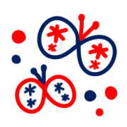 003