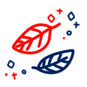 025