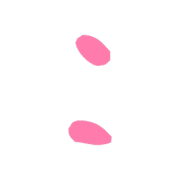244
