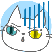 019