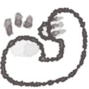 006