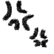 035