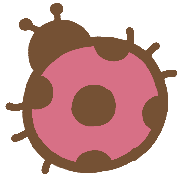 021