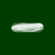 251
