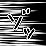 016