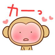 006