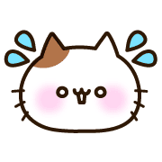016