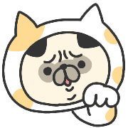 023