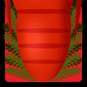 006