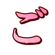 060