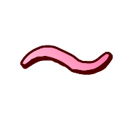 224