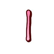 242