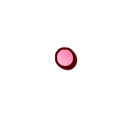 246