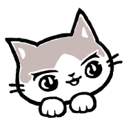 003
