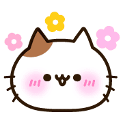 005
