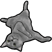 025