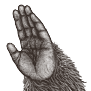 026