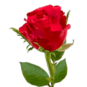 035