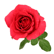 038