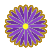 029