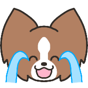 003