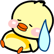 019