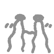 033