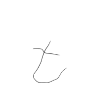 207