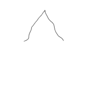 231