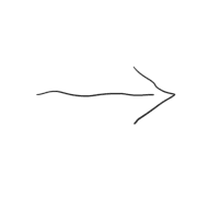 262