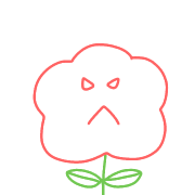029