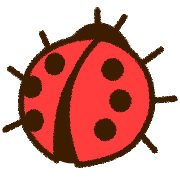 029