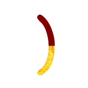 074