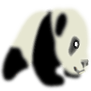 003