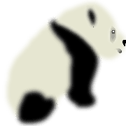004
