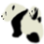 007