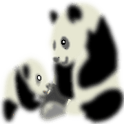 008