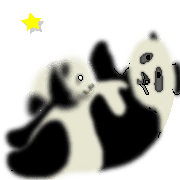 031