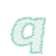 204