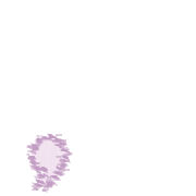 245