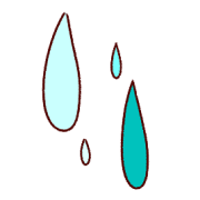 029