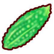 028