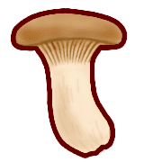 038