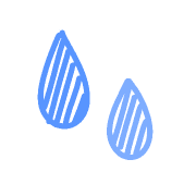 029