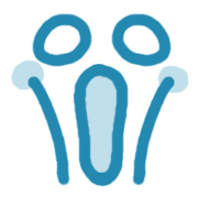 008