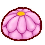 029